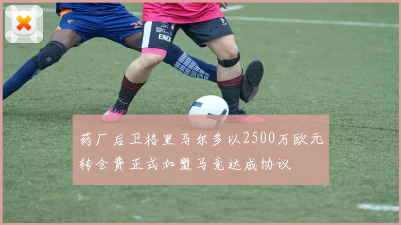 药厂后卫格里马尔多以2500万欧元转会费正式加盟马竞达成协议